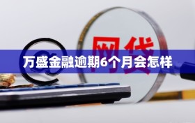 万盛金融逾期6个月会怎样