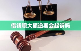 借钱呗大额逾期会起诉吗