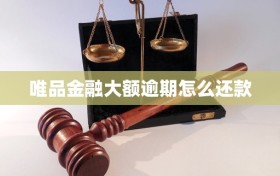 唯品金融大额逾期怎么还款
