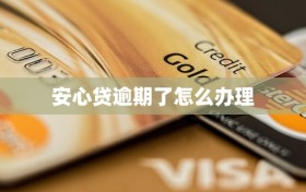 安心贷逾期了怎么办理