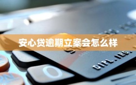 安心贷逾期立案会怎么样