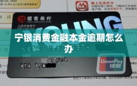 宁银消费金融本金逾期怎么办
