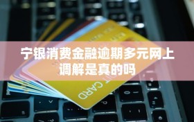 宁银消费金融逾期多元网上调解是真的吗