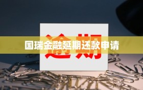国瑞金融延期还款申请