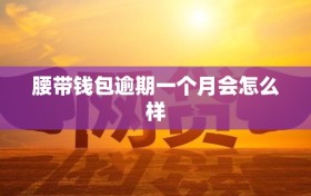 腰带钱包逾期一个月会怎么样