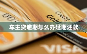车主贷逾期怎么办延期还款