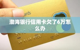 渤海银行信用卡欠了6万怎么办