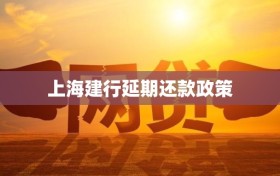 上海建行延期还款政策