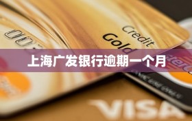 上海广发银行逾期一个月