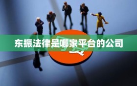 东振法律是哪家平台的公司