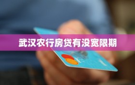 武汉农行房贷有没宽限期