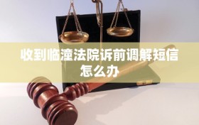 收到临潼法院诉前调解短信怎么办