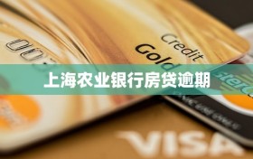 上海农业银行房贷逾期