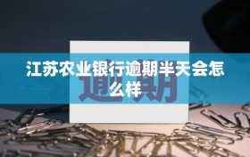 江苏农业银行逾期半天会怎么样
