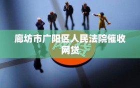 廊坊市广阳区人民法院催收网贷