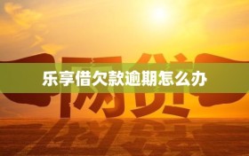 乐享借欠款逾期怎么办