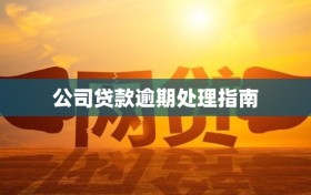 公司贷款逾期处理指南