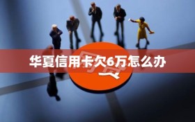 华夏信用卡欠6万怎么办