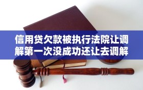 信用贷欠款被执行法院让调解第一次没成功还让去调解