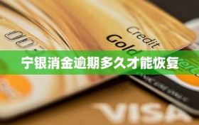 宁银消金逾期多久才能恢复