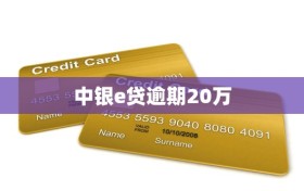 中银e贷逾期20万