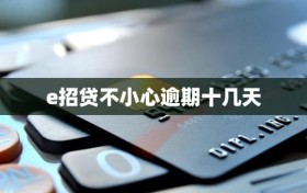 e招贷不小心逾期十几天