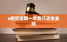 e招贷逾期一年能只还本金吗