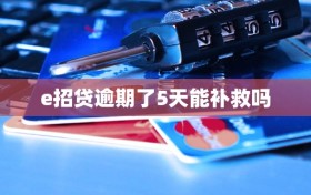 e招贷逾期了5天能补救吗