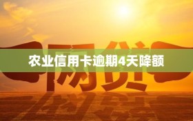 农业信用卡逾期4天降额