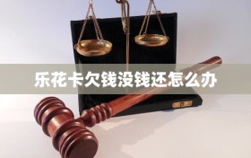 乐花卡欠钱没钱还怎么办