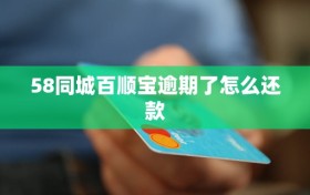 58同城百顺宝逾期了怎么还款