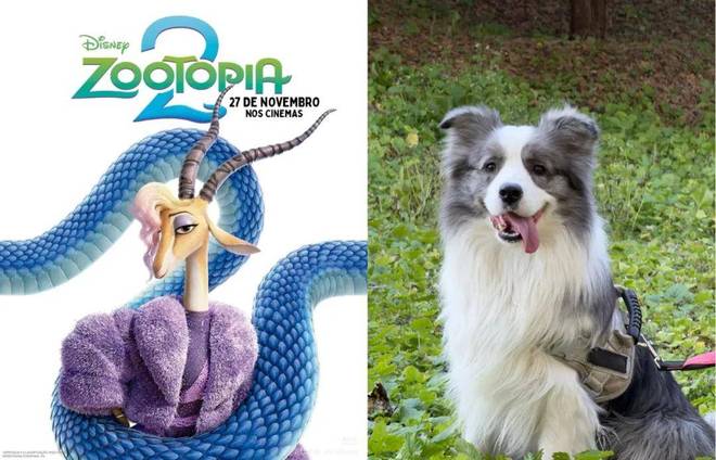 谷歌可以免费使用吗_谷歌付费_