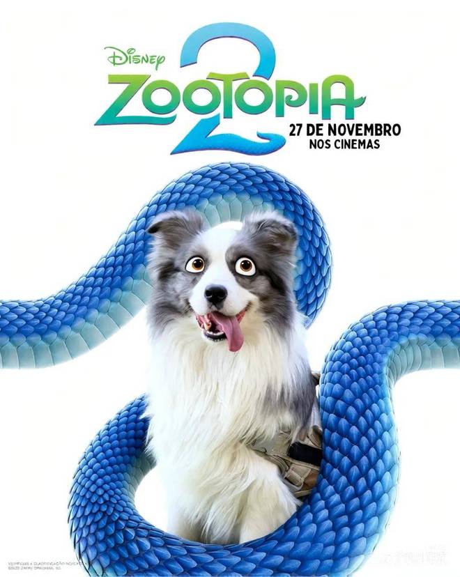 谷歌可以免费使用吗__谷歌付费