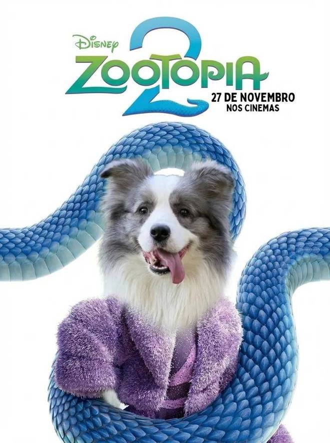 谷歌付费_谷歌可以免费使用吗_