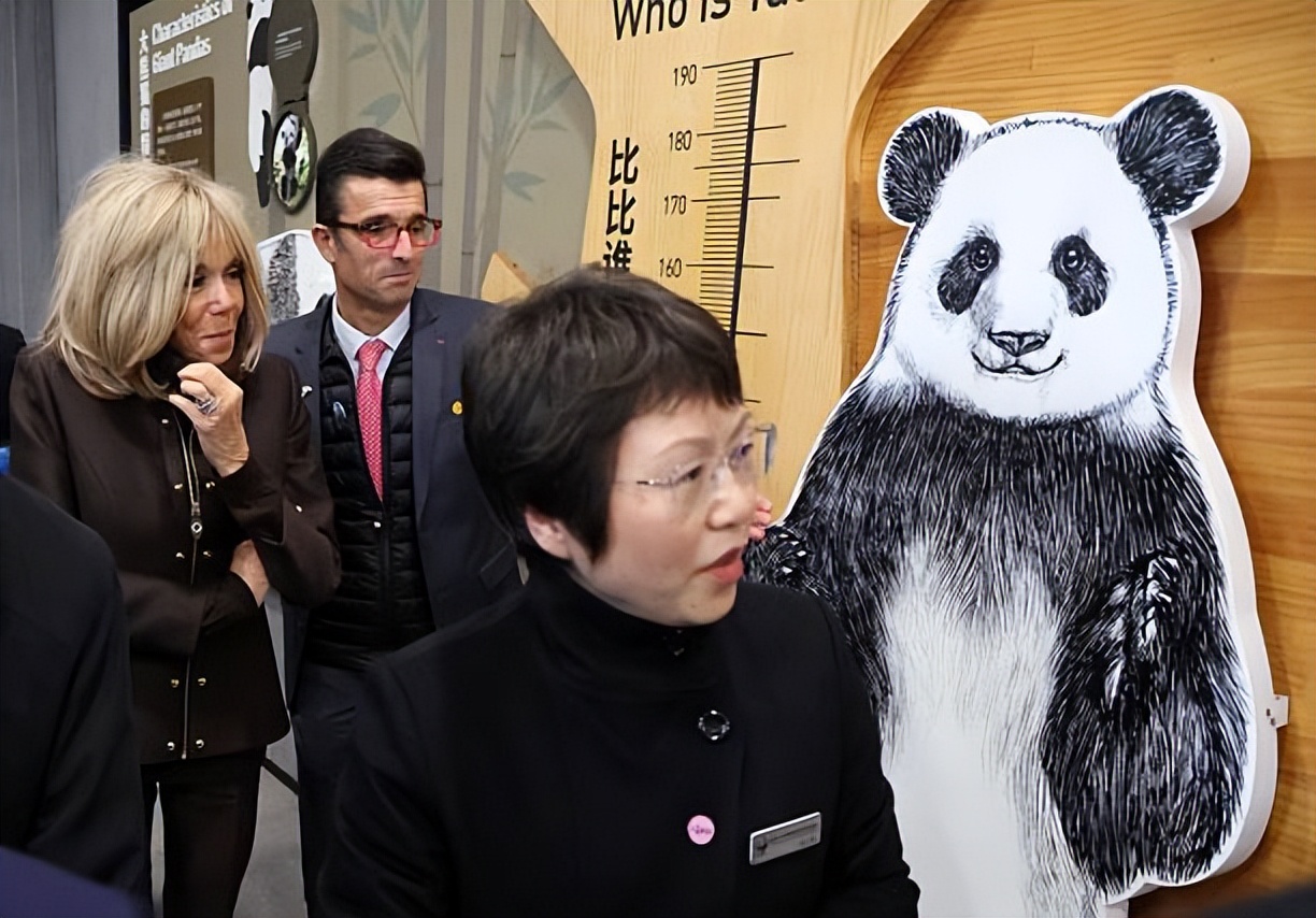 成都去哪看前列腺好__成都那个熊猫基地好