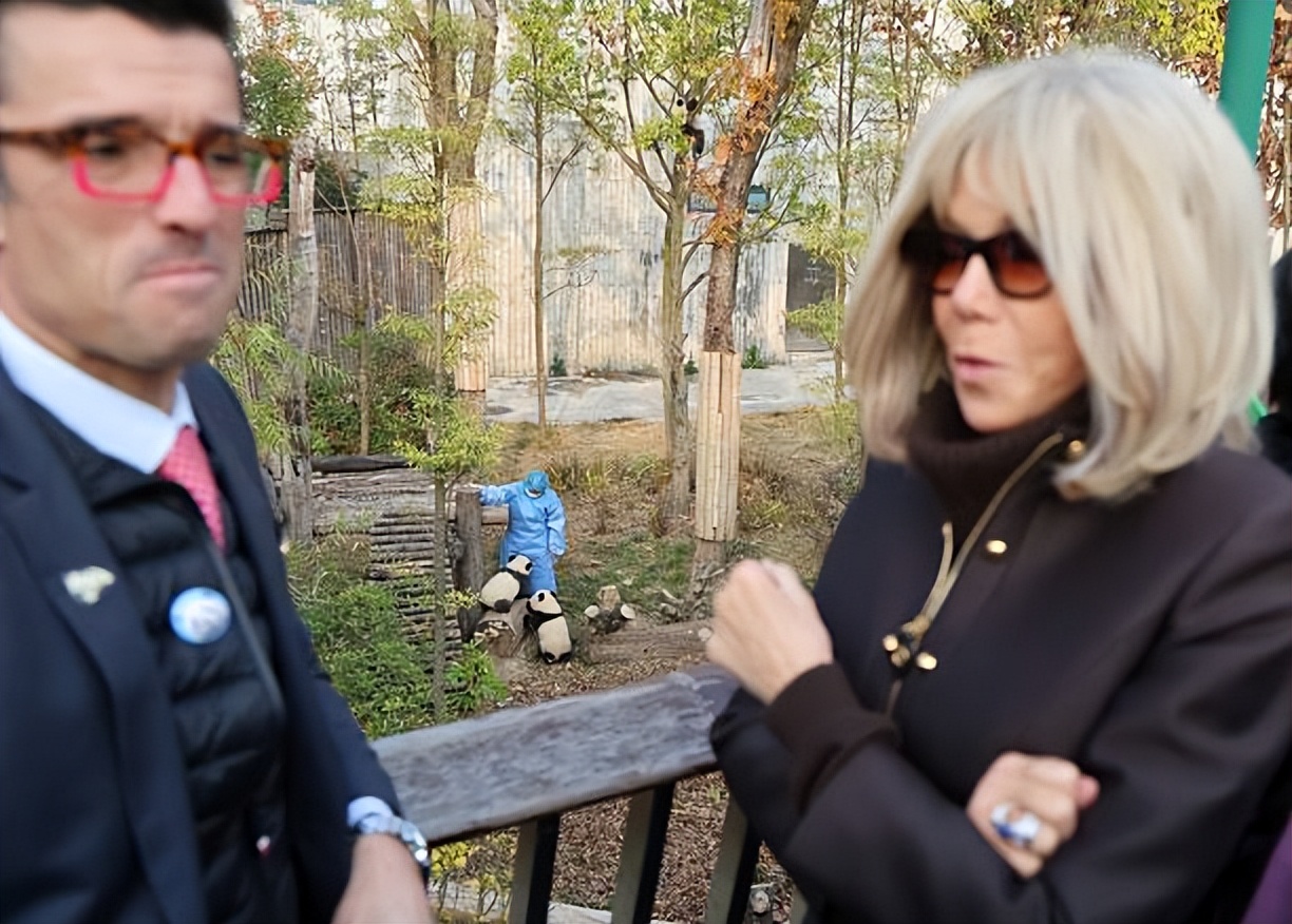 成都那个熊猫基地好__成都去哪看前列腺好