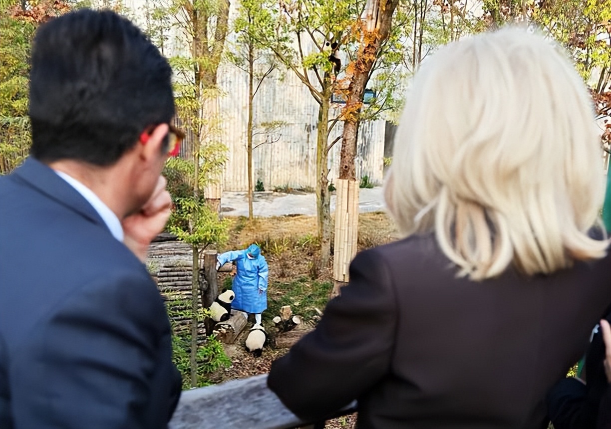 成都那个熊猫基地好_成都去哪看前列腺好_