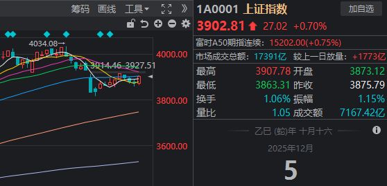 _a股人气低_a股公司违法成本为什么这么低