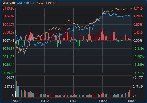 a股公司违法成本为什么这么低_a股人气低_