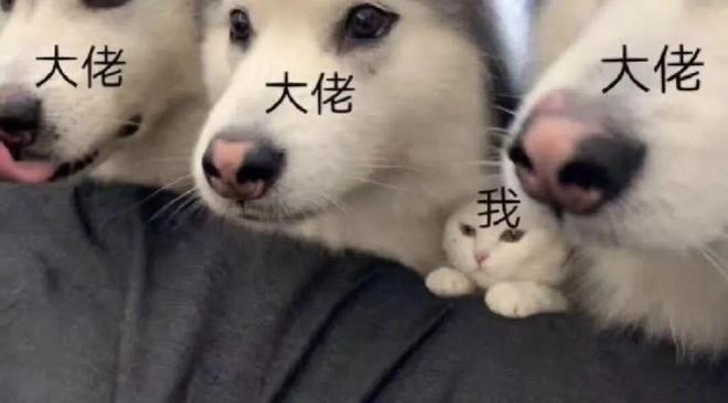 在小红书排队被拷问，科技圈搞起了一种很新的团建__在小红书排队被拷问，科技圈搞起了一种很新的团建