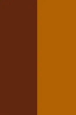 灰色裤子配棕色上衣好看吗__灰棕色裤子