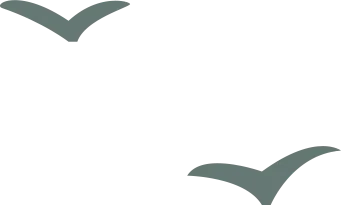 _国内临床试验入组官网_进口药临床试验