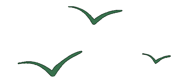 _“秃”如其来怎么办？别忽略这些营养素_“秃”如其来怎么办？别忽略这些营养素