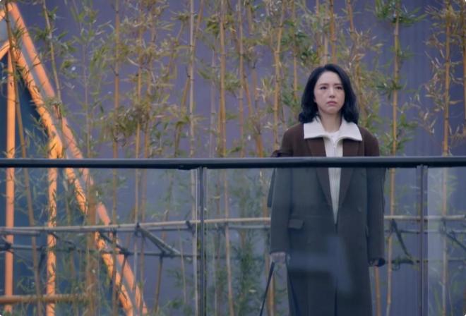 _央视《不期而遇的生活》首播，实力派演员演技惊艳，董璇抽到王炸_央视《不期而遇的生活》首播，实力派演员演技惊艳，董璇抽到王炸