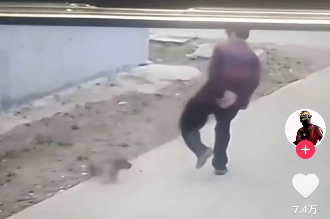 被挂上热搜“广州某甜品店最恶俗一幕”，炸出爱玩烂梗的低智群体__被挂上热搜“广州某甜品店最恶俗一幕”，炸出爱玩烂梗的低智群体