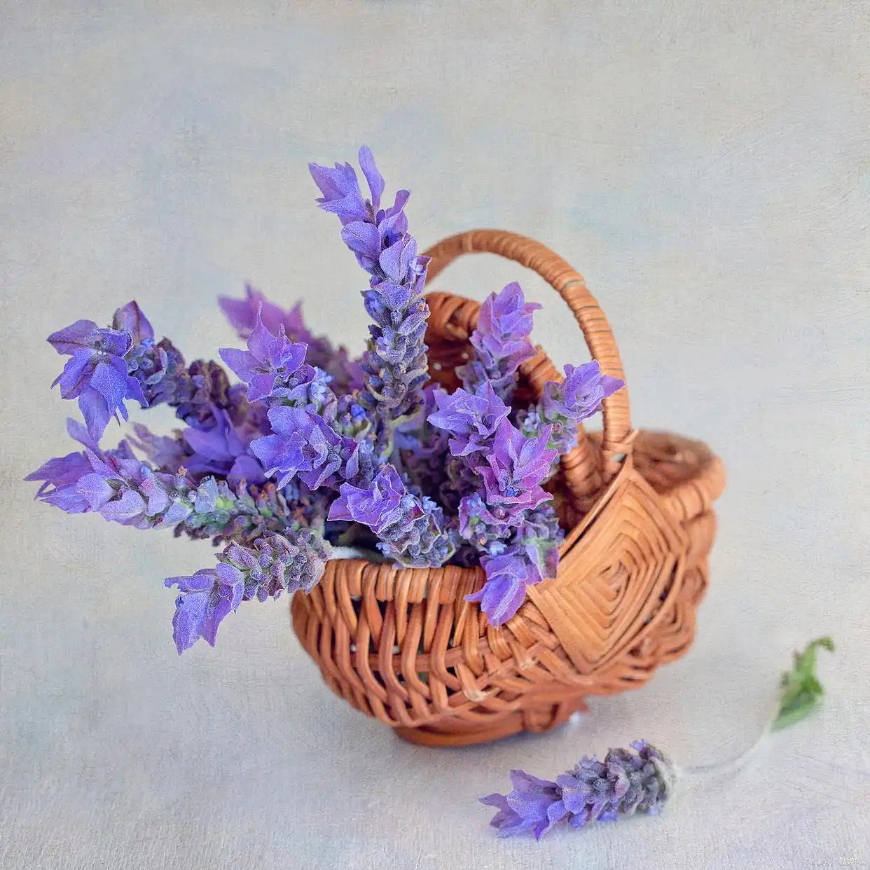 爱你，念你，心悦之人是你，所以，一生所求也是你_爱你，念你，心悦之人是你，所以，一生所求也是你_