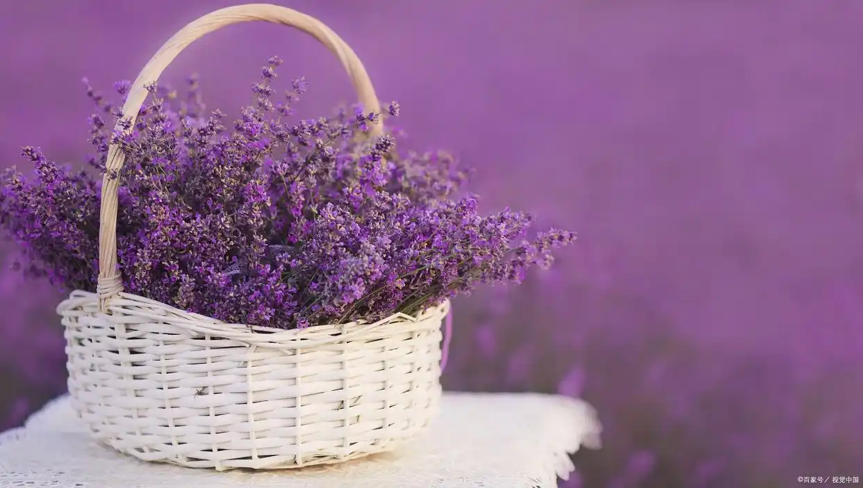 _爱你，念你，心悦之人是你，所以，一生所求也是你_爱你，念你，心悦之人是你，所以，一生所求也是你