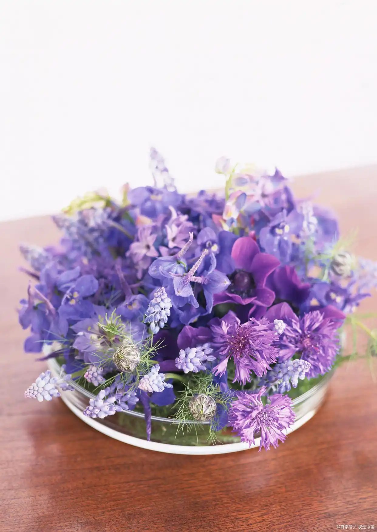 _爱你，念你，心悦之人是你，所以，一生所求也是你_爱你，念你，心悦之人是你，所以，一生所求也是你