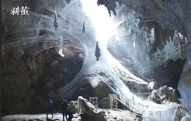 《剥茧》和《玉茗茶骨》各看5集，一部当场弃剧，一部越看越上头__《剥茧》和《玉茗茶骨》各看5集，一部当场弃剧，一部越看越上头