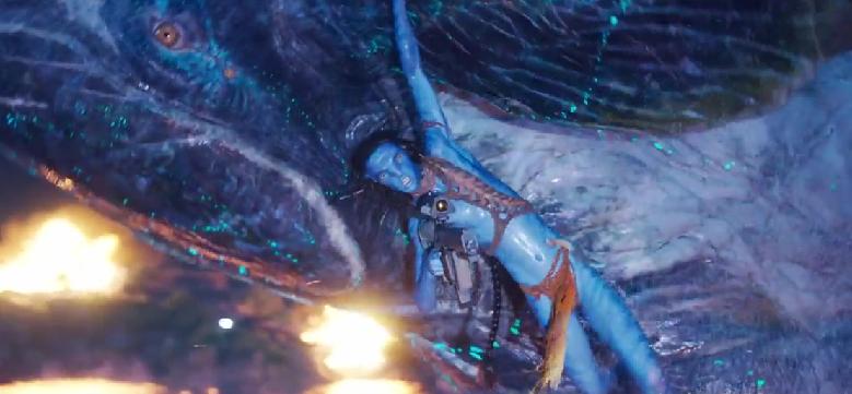 _阿凡达重映卡梅隆_阿凡达导演卡梅隆